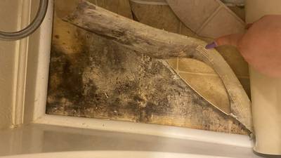 ‘Can cause a slew of problems’: How to protect your house from mold 