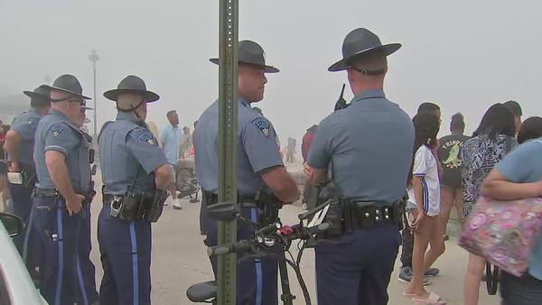 Twelve people arrested at two Boston-area beaches