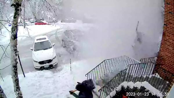 ‘Guess it’s not my time to go’: Watch shoveling N.H. man narrowly dodge falling tree branch