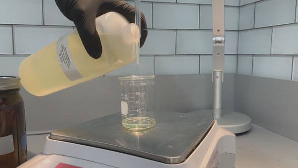 Making make-up: Scientists and entrepreneurs on the Cape using algae from the ocean