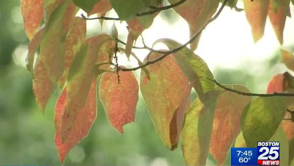 A fall colors arrive, the great outdoors is open for business 