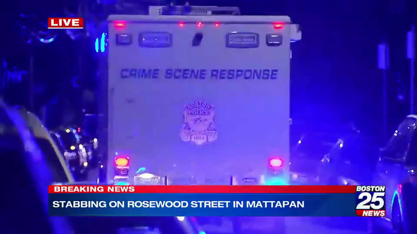 Police investigating Mattapan stabbing