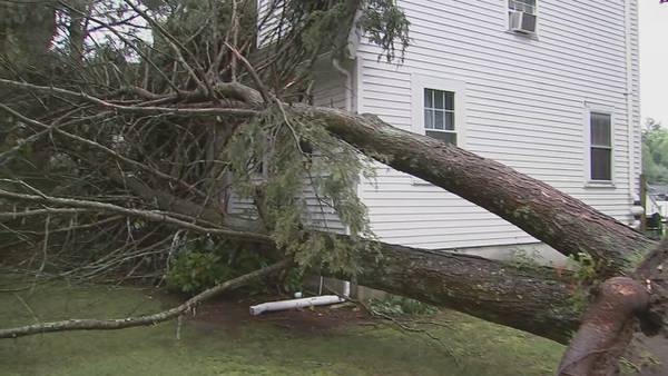 ‘Just a disaster’: Cleanup underway in Framingham following latest round of severe thunderstorms