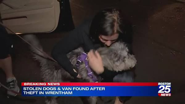 Van stolen from Wrentham doggie daycare found, dogs safe