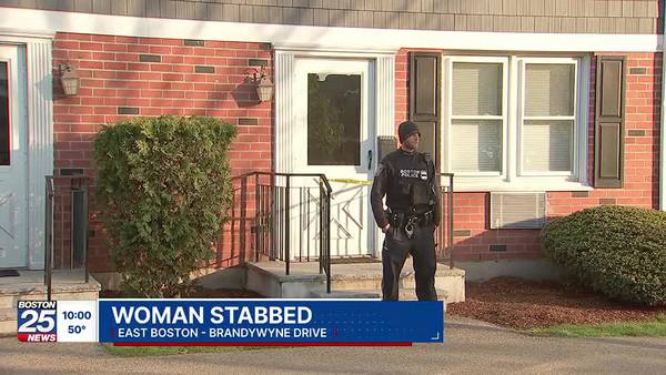 Arrest made after woman was stabbed at East Boston apartment complex, police say