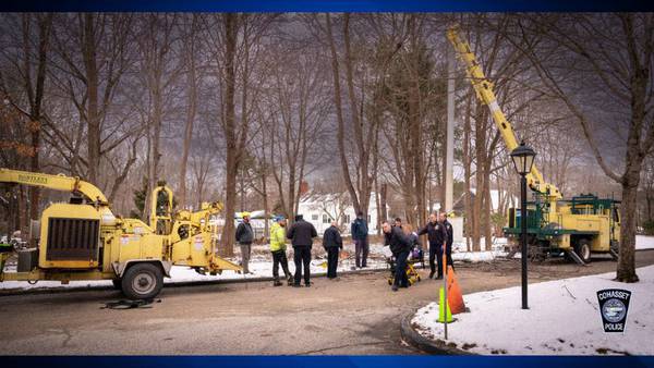 Tree worker injured, knocked unconscious, by falling branch in Cohasset
