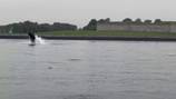 ‘Is this real?’: Quincy father and son have close encounter with whale off Castle Island 