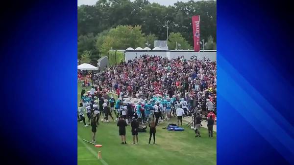 Patriots and Panthers brawl for 2nd straight day injuring a fan in the crowd 