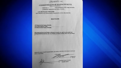 DA: Brian Walshe Indictment documents 