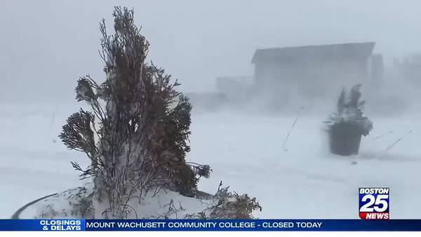 The blizzard beats Cape Cod with wicked winds