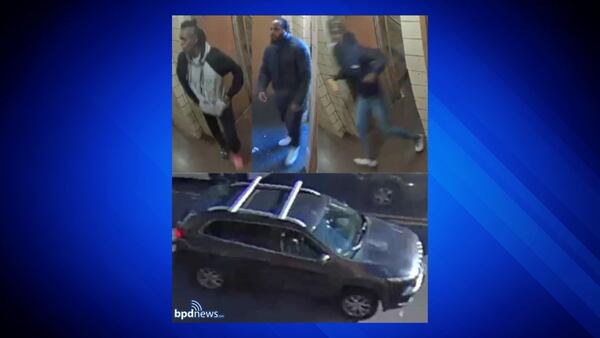 Police seeking persons of interest, vehicle after dog shot and killed in Jamaica Plain