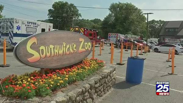 Passengers stranded on sky ride at Southwick Zoo, suspended above animals