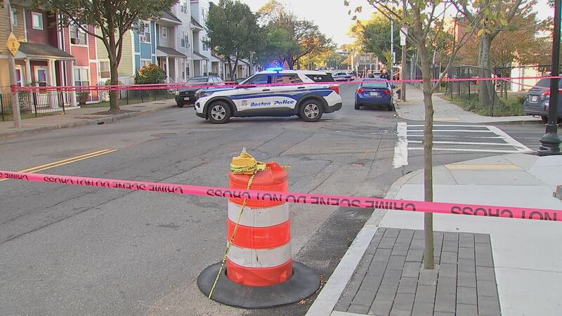 Assault investigation underway in Boston's Roxbury neighborhood.