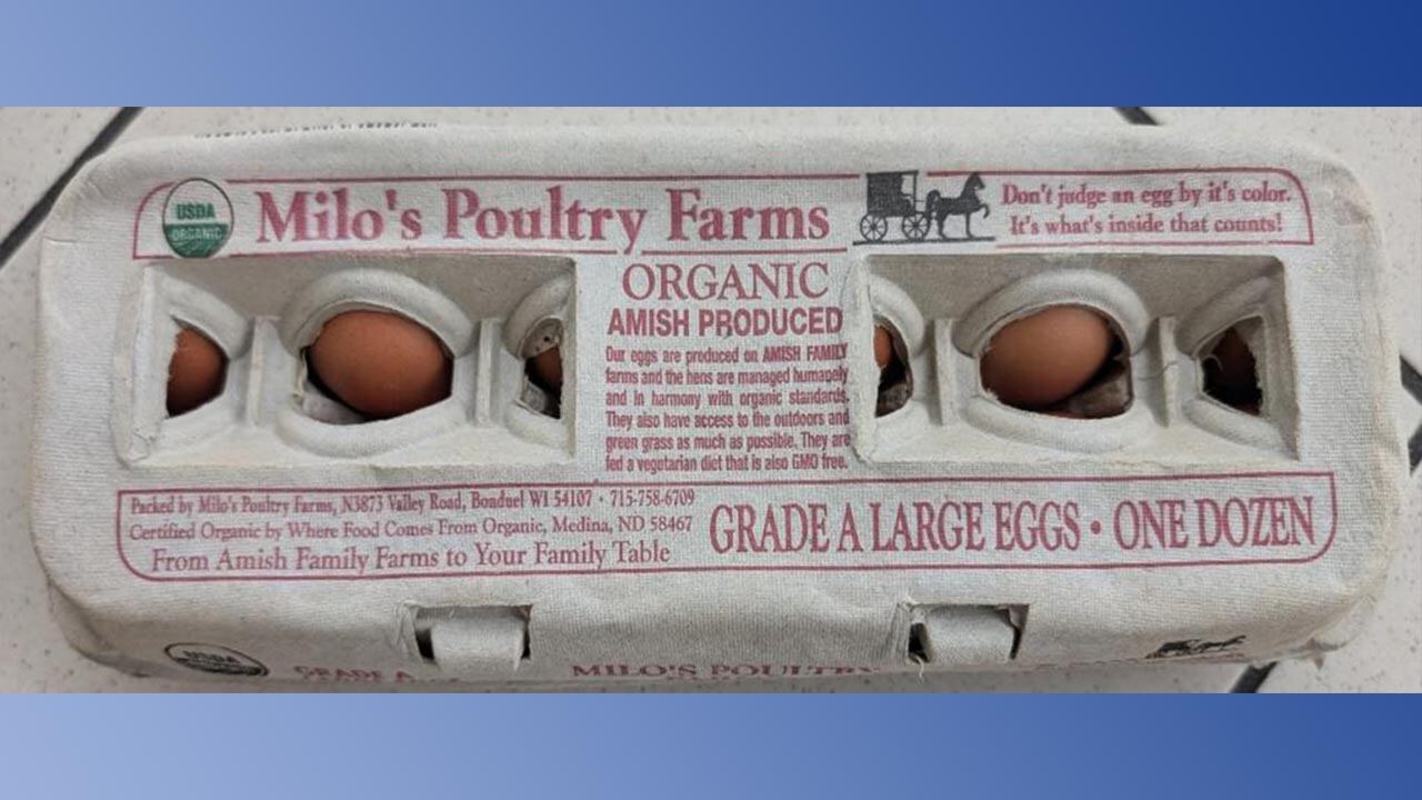 Eggs in a carton