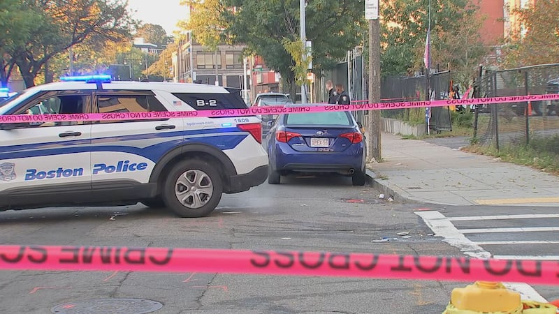 Assault investigation underway in Boston's Roxbury neighborhood.