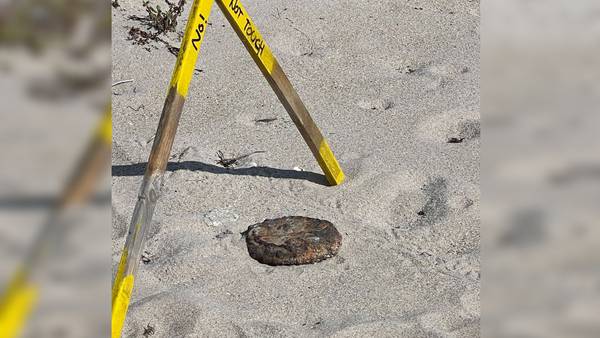 Suspected land mine removed from Florida beach