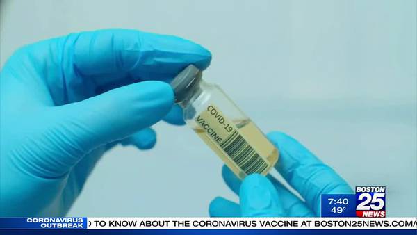 New study gives hope to pregnant women about the coronavirus vaccine