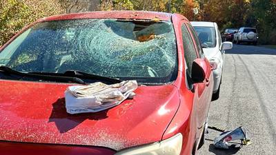 Photos: Cars in Northampton damaged by pumpkin-throwing vandal