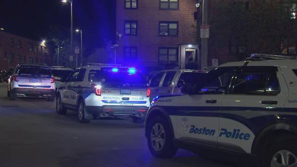 2nd man wanted in Boston shooting that left 5 injured, including a brother and sister, arrested