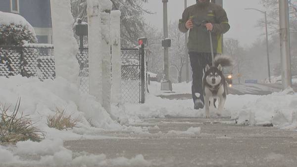 ‘Let them have it!’ Worcester residents glad to be spared worst of winter storm 
