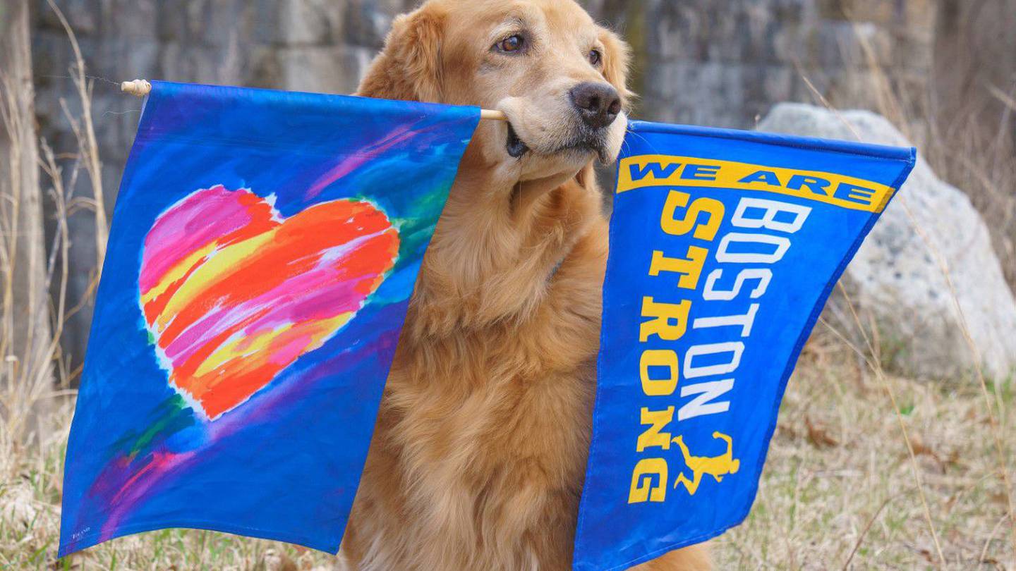 Spencer, beloved Marathon dog, buried with Boston Strong flag draped
