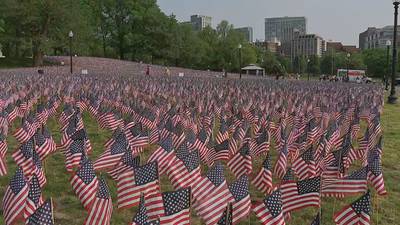 ‘It’s awe-inspiring’: Crowds reflect at flag garden on Boston Common ahead of Memorial Day