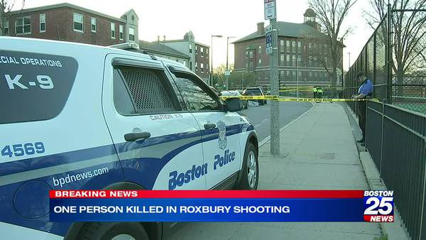 Deadly shooting in Roxbury park