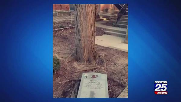 Three suspects charged in vandalism, theft of 16-year-old murder victim’s gravestone