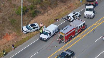 Four hospitalized, one dog dead after multi-car crash in Bourne, police say