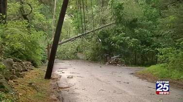 Sunday night thunderstorms topple trees, damage property