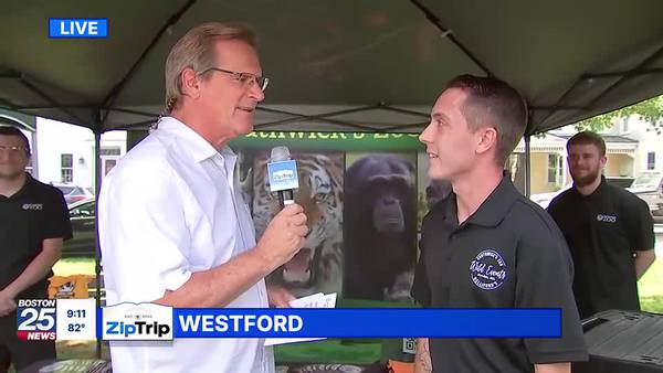 Westford Zip Trip: What’s New at the Zoo