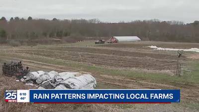 ‘We’ve gotten more than our cupful’: Rain patterns impacting local farms 